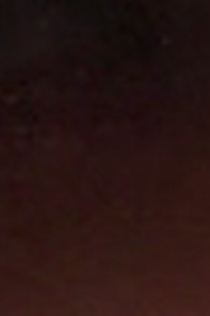 VANCY 타원형